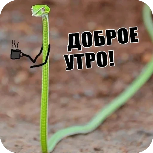 Snake — 3
