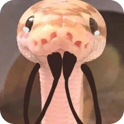 Snake