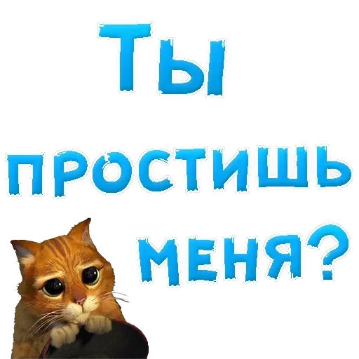 Sorry — 8