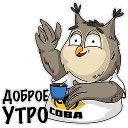 Сова - душа компании