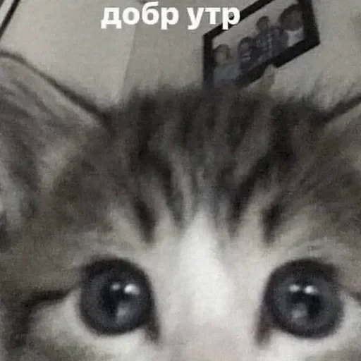 создал :: тг стикеры @ — 41