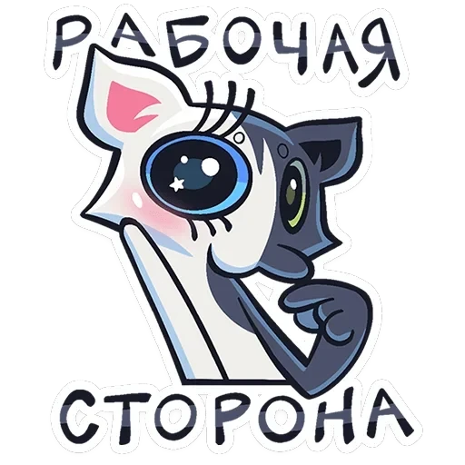 Сплитти — 47