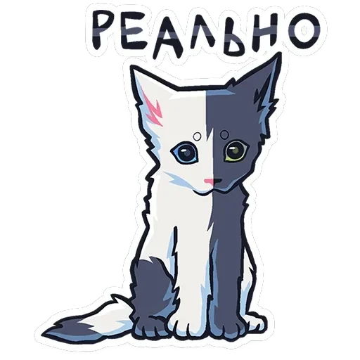 Сплитти — 9