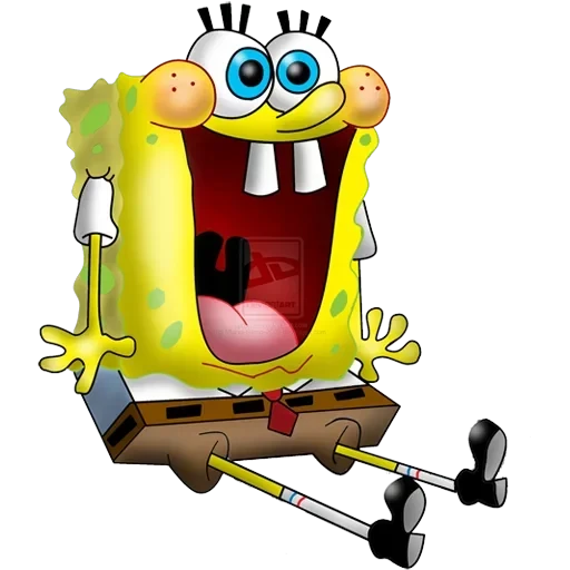 sponge — 1