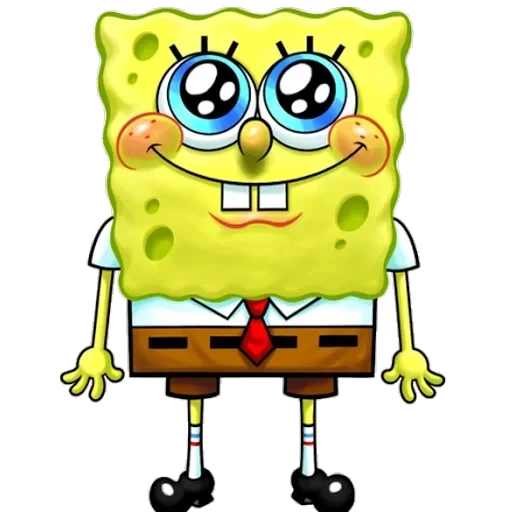 sponge — 2