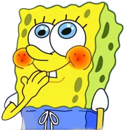 sponge — 11