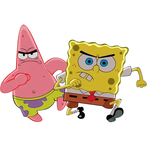 sponge — 16