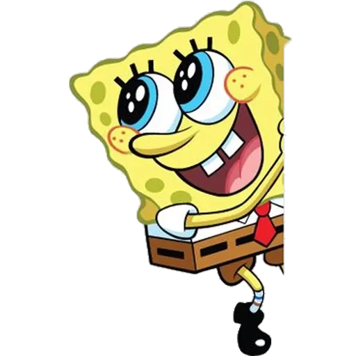 sponge — 17