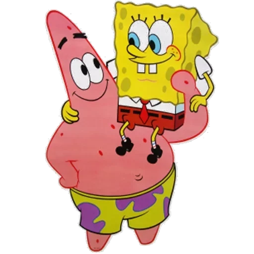 sponge — 19