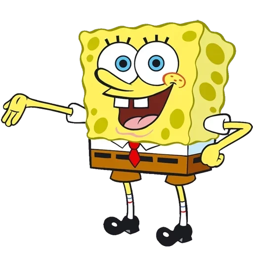 sponge — 3