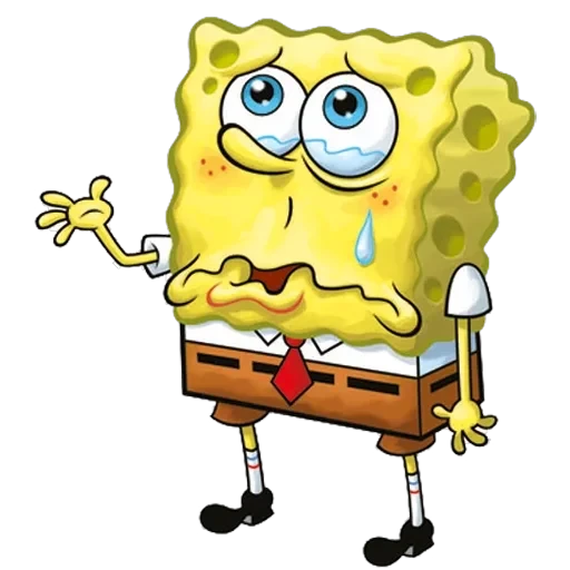 sponge — 22