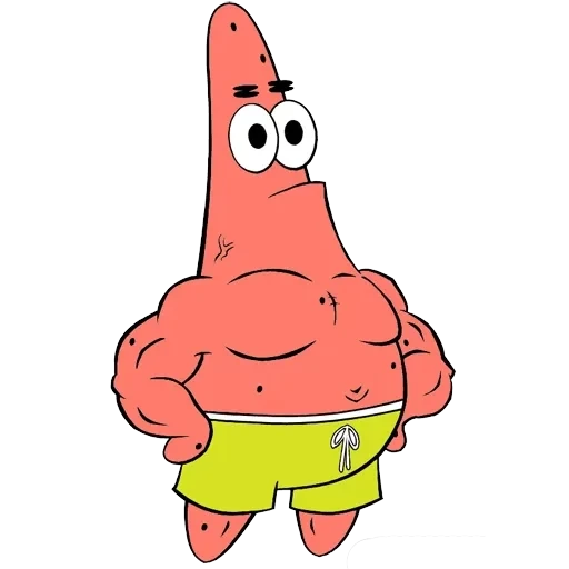 sponge — 23
