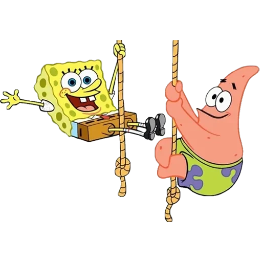 sponge — 6