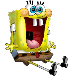 sponge