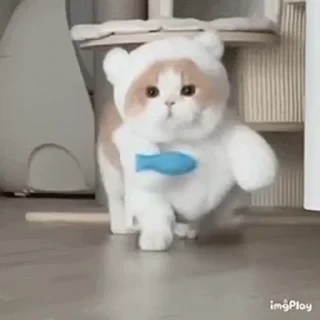 一些喵ฅ(=￣ω￣=)ฅ — 11