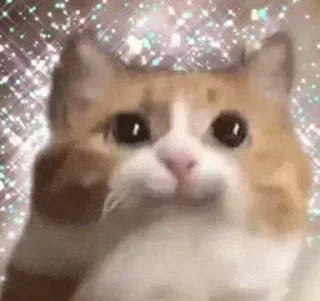 一些喵ฅ(=￣ω￣=)ฅ — 17
