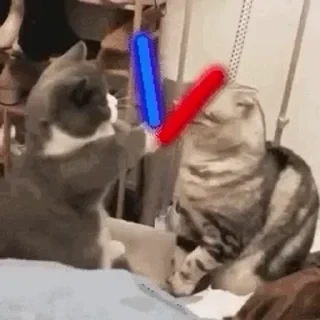 一些喵ฅ(=￣ω￣=)ฅ — 18