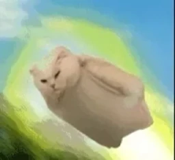 一些喵ฅ(= ̄ω ̄=)ฅ