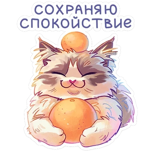 Стелла — 12