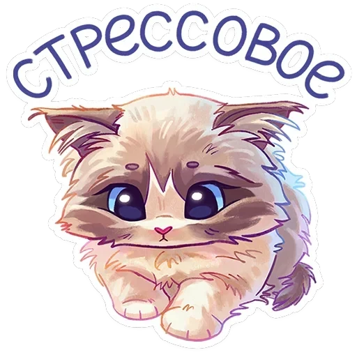 Стелла — 23
