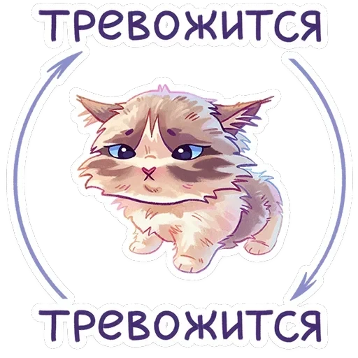 Стелла — 10