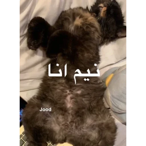 Sticker Pack — 49