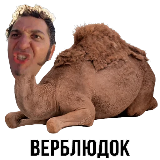 Stickers — 11