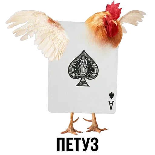Stickers — 15
