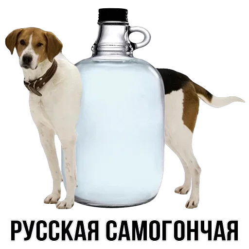 Stickers — 17