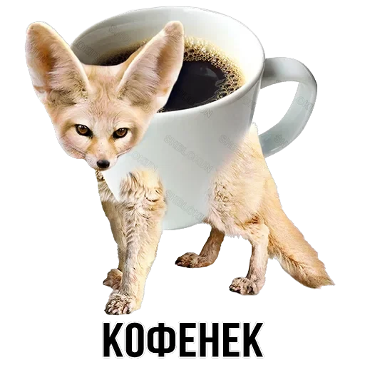 Stickers — 21