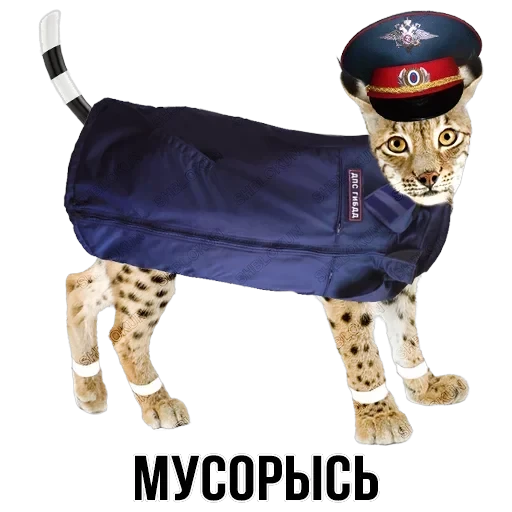 Stickers — 28
