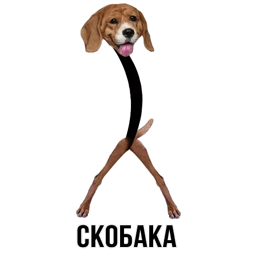 Stickers — 29