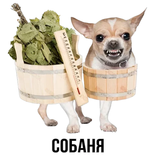 Stickers — 30
