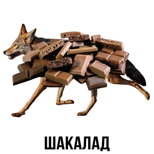 Stickers — 34