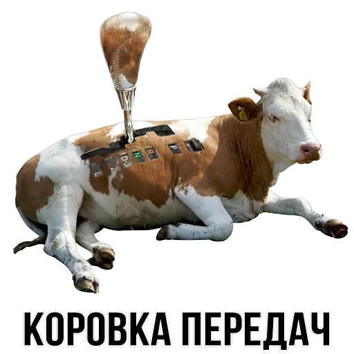 Stickers — 37