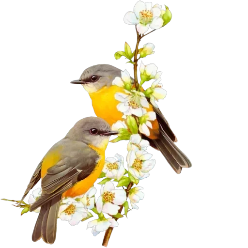 Stickers — 11