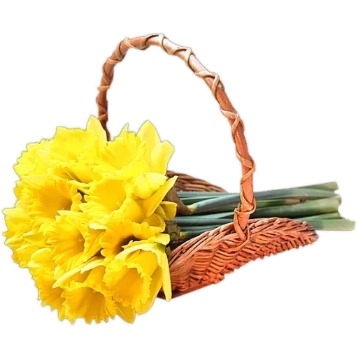 Stickers — 55