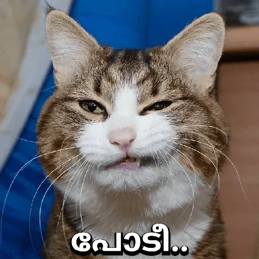 Stickers:-) — 17