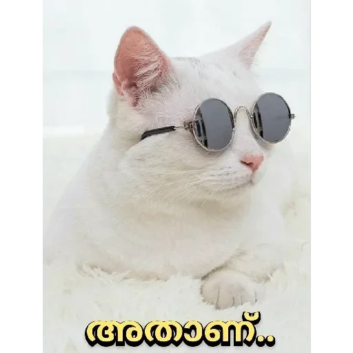 Stickers:-) — 21