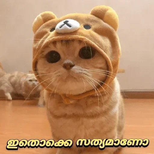 Stickers:-) — 24