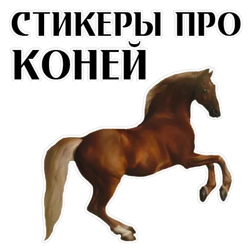 Stickers With Horses — 1