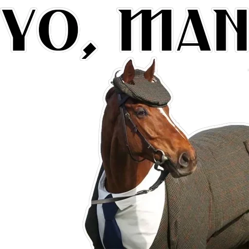Stickers With Horses — 2