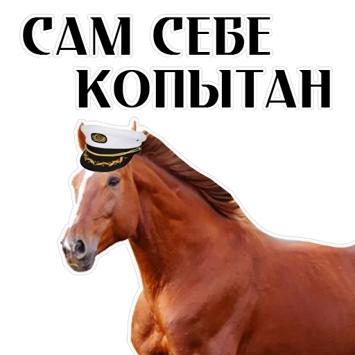 Stickers With Horses — 14
