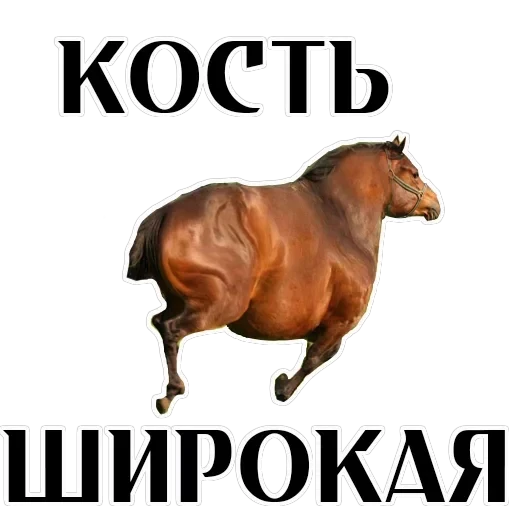 Stickers With Horses — 17