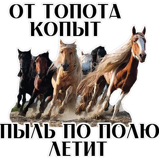 Stickers With Horses — 3