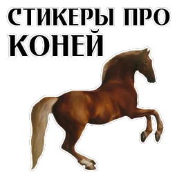 Stickers With Horses