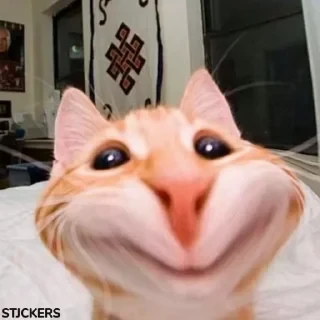 @stjckers @gpstick @Majazinoo_accbotСТИКЕРЫ 👇 @ok_sticker_bot — 41
