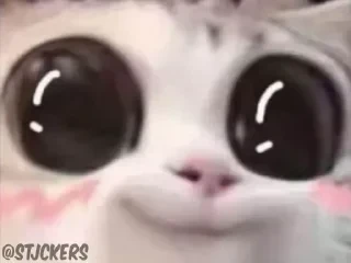 @stjckers @gpstick @Majazinoo_accbotСТИКЕРЫ 👇 @ok_sticker_bot — 42
