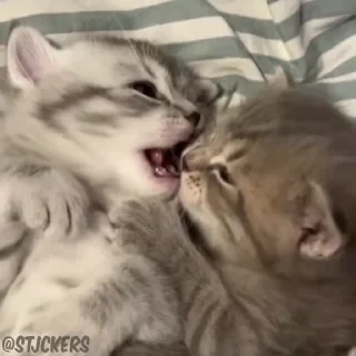 @stjckers @gpstick @Majazinoo_accbotСТИКЕРЫ 👇 @ok_sticker_bot — 60