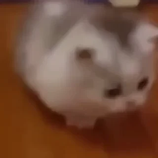 @webcutes | @ok_sticker_bot — 11